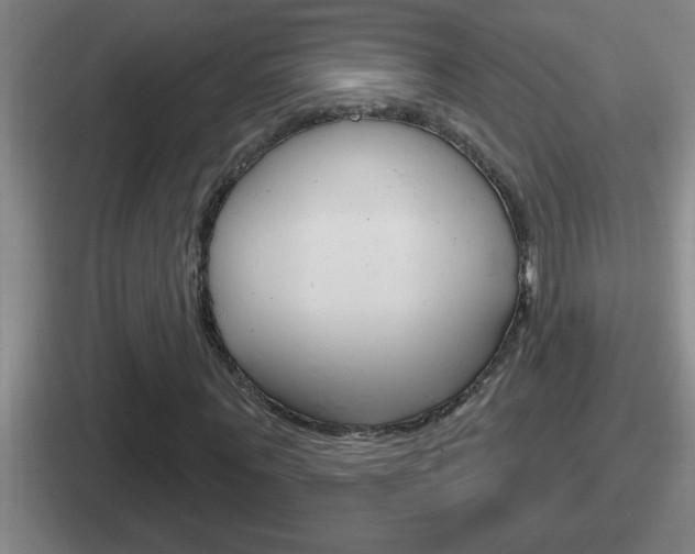 X0000112070867201007221005