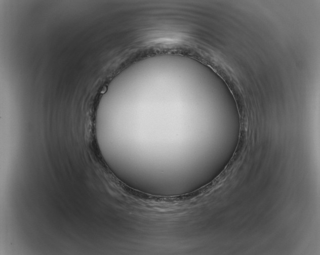 X0000112070868201007221005