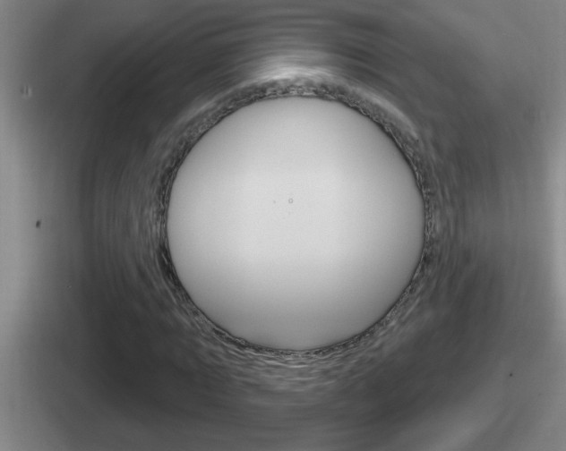 X0000112070869201007221005