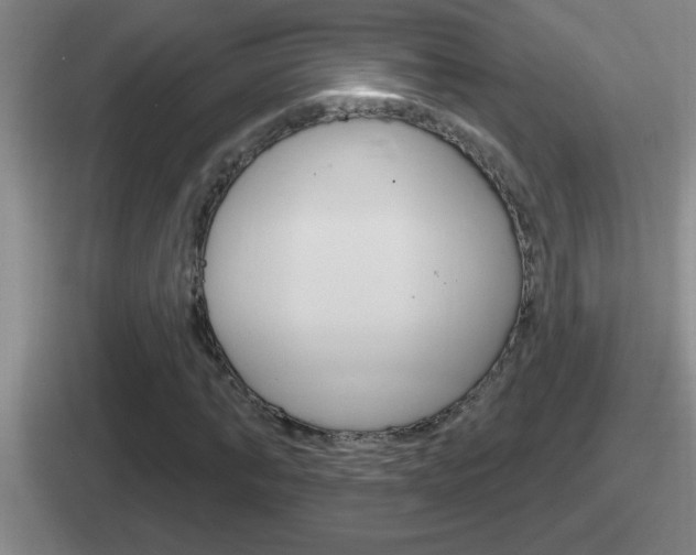 X0000112070870201007221005