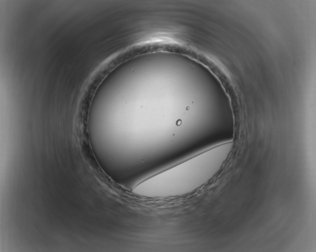 X0000112070872201007221005