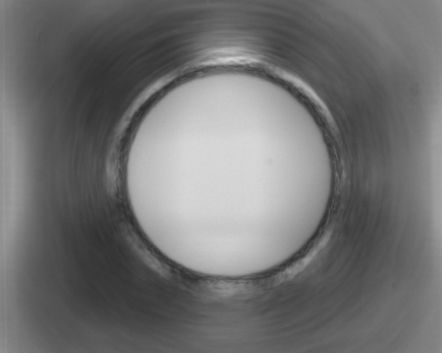 X0000112070874201007221005