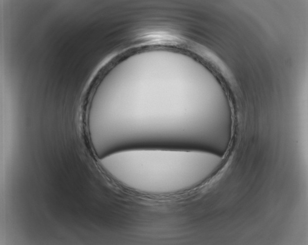 X0000112070875201007221005