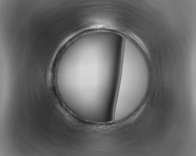 X0000112070876201007221005