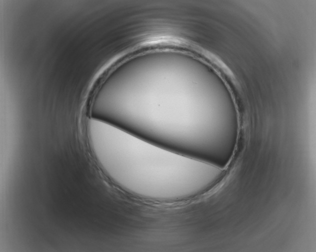 X0000112070877201007221005