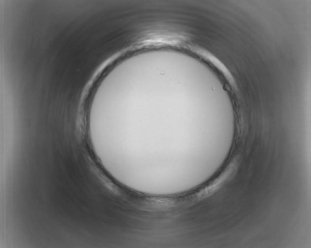 X0000112070878201007221005