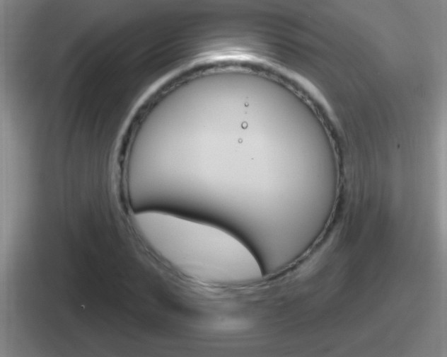 X0000112070879201007221004