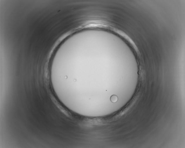 X0000112070882201007221004