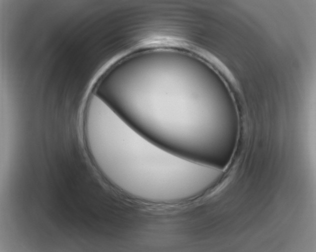 X0000112070885201007221004