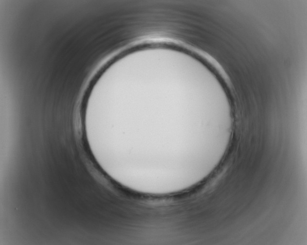 X0000112070887201007221004