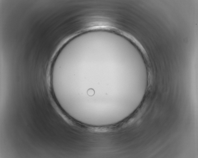 X0000112070890201007221004