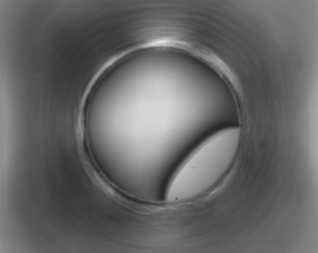X0000112070892201007221004
