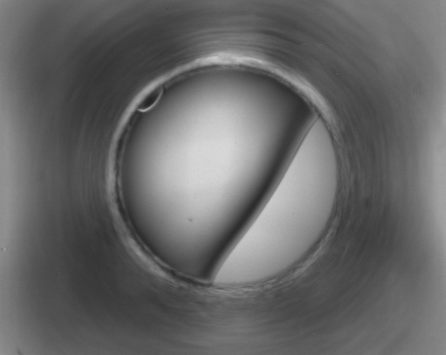 X0000112070896201007221004