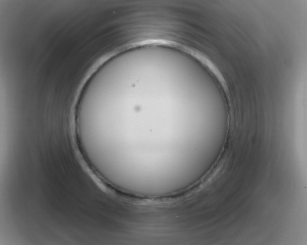 X0000112070898201007221004