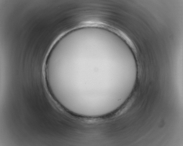 X0000112070899201007221004