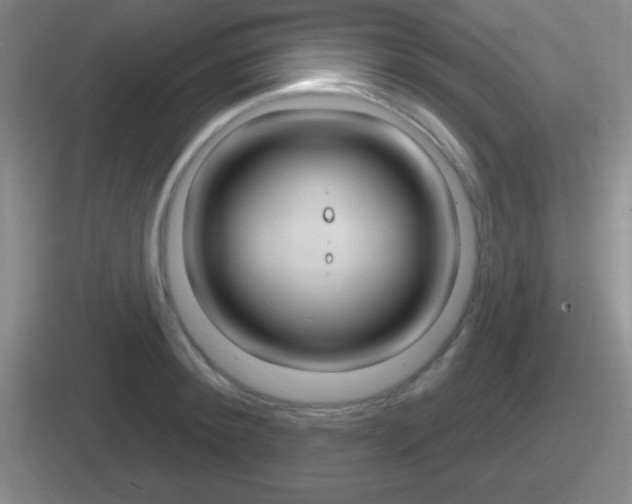 X0000112070900201007221004