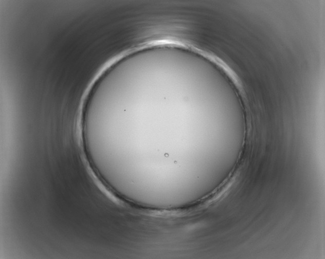 X0000112070902201007221004