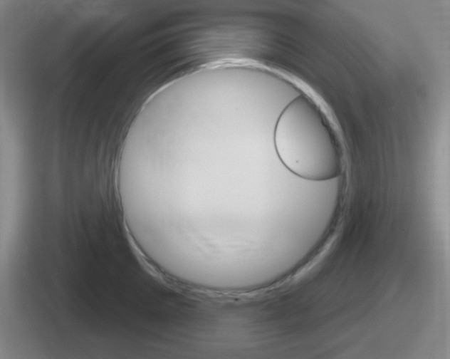 X0000112070905201007221004