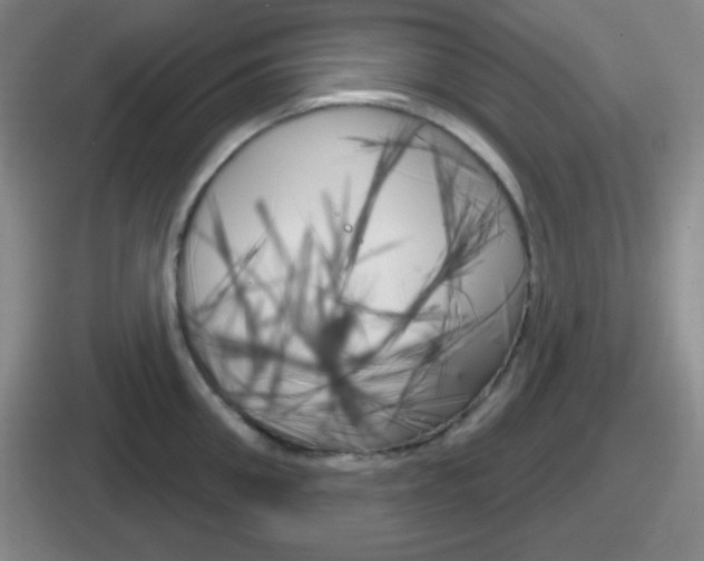 X0000112070906201007221004