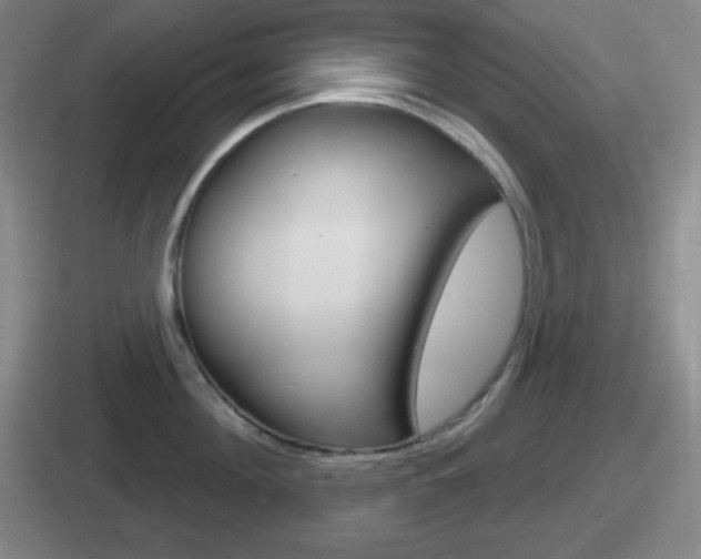 X0000112070908201007221004