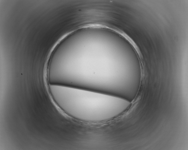 X0000112070909201007221004