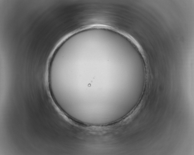 X0000112070910201007221004