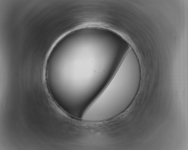 X0000112070912201007221004