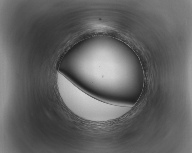X0000112070916201007221003