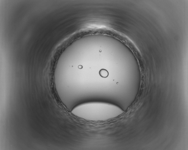 X0000112070919201007221004