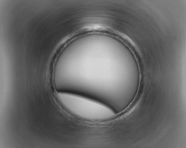 X0000112070922201007221004