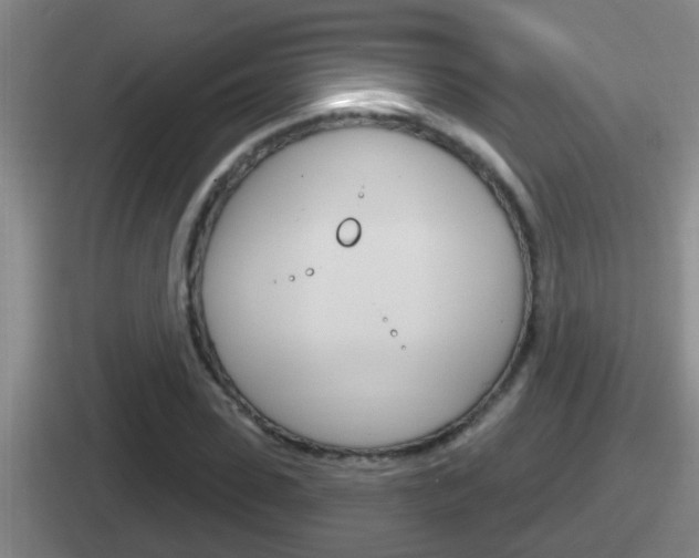 X0000112070923201007221004