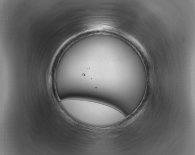 X0000112070924201007221004