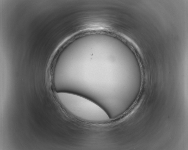 X0000112070925201007221004