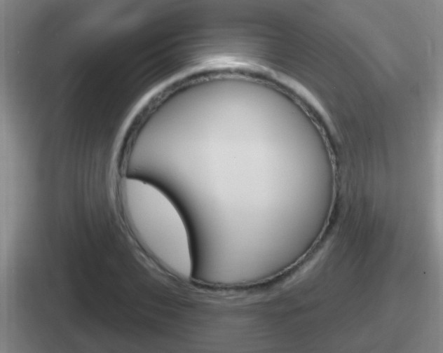 X0000112070927201007221004