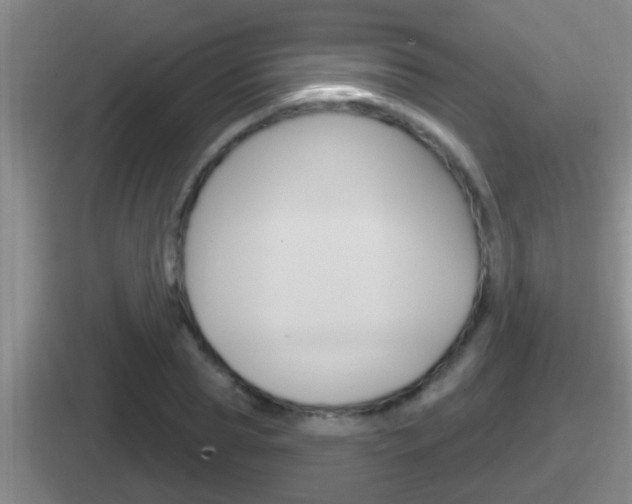 X0000112070929201007221004