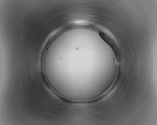 X0000112070930201007221004
