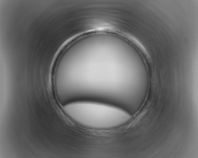X0000112070932201007221004