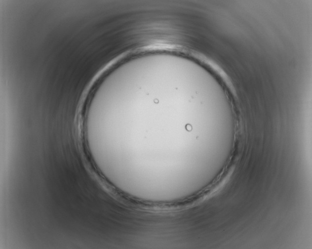 X0000112070933201007221004