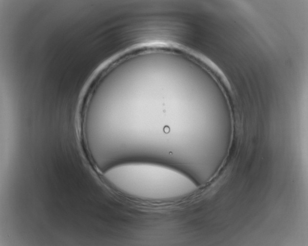 X0000112070935201007221004