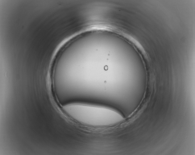X0000112070936201007221004