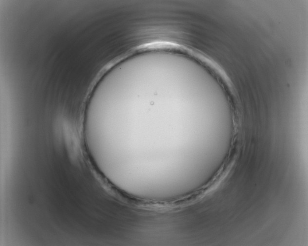 X0000112070937201007221004