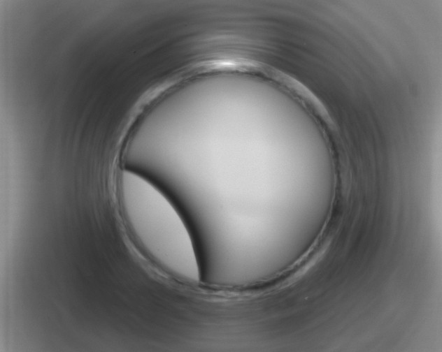 X0000112070938201007221004