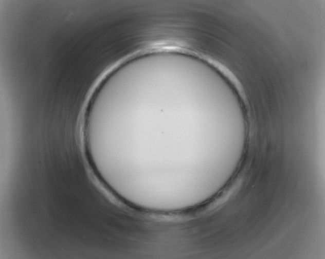 X0000112070941201007221004