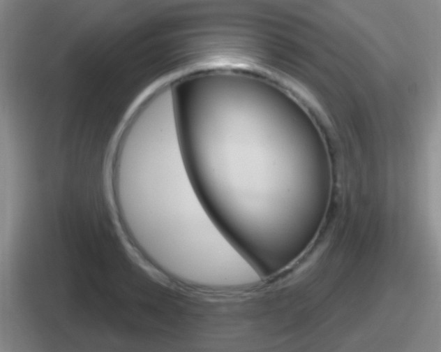 X0000112070942201007221004