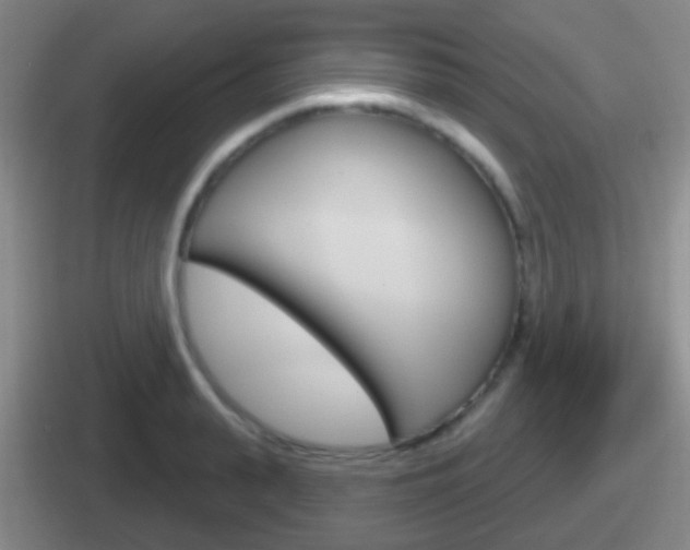 X0000112070943201007221004