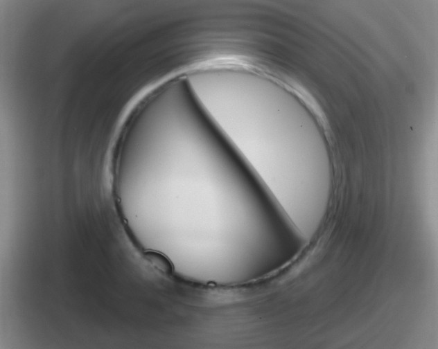 X0000112070944201007221004