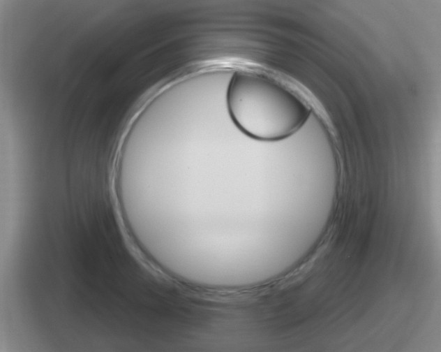 X0000112070946201007221004