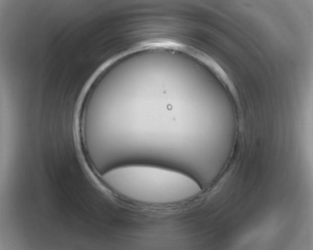 X0000112070947201007221004