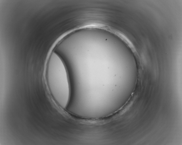 X0000112070948201007221004