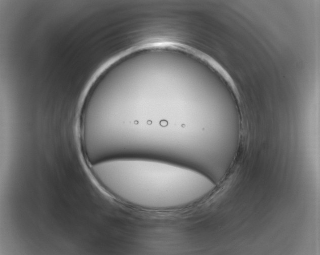 X0000112070951201007221004